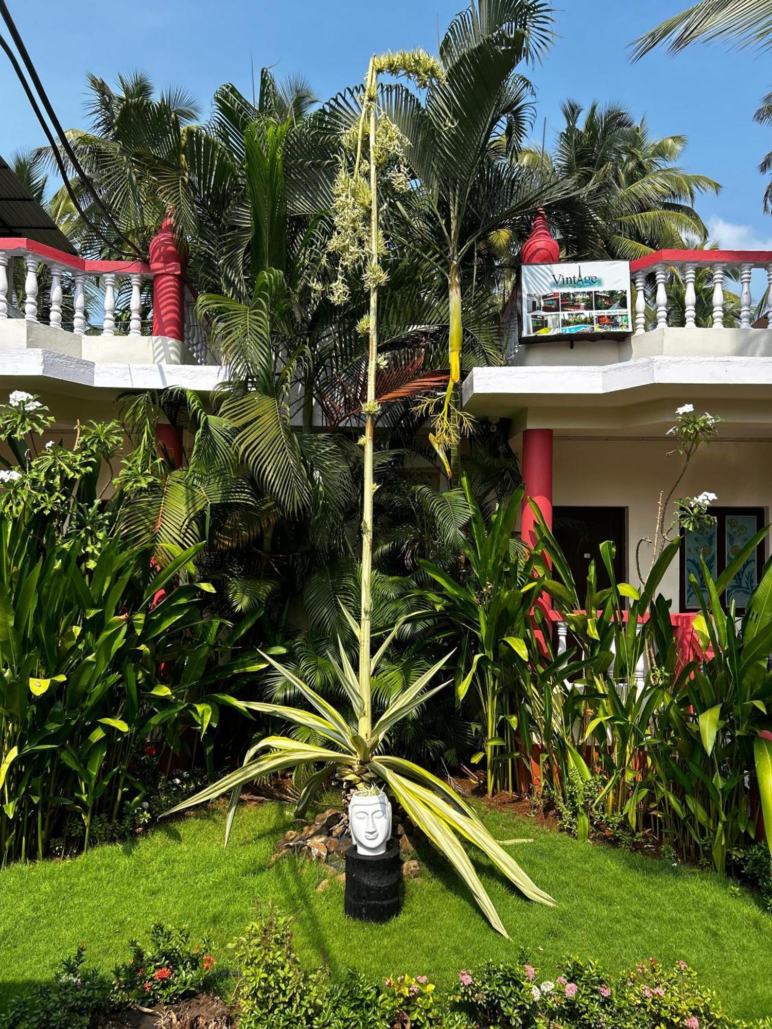 Vintage Beach Resort Agonda Esterno foto